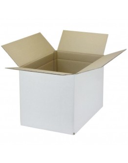 Cardboard box M2 Fefco-0201 white 290x190x240mm